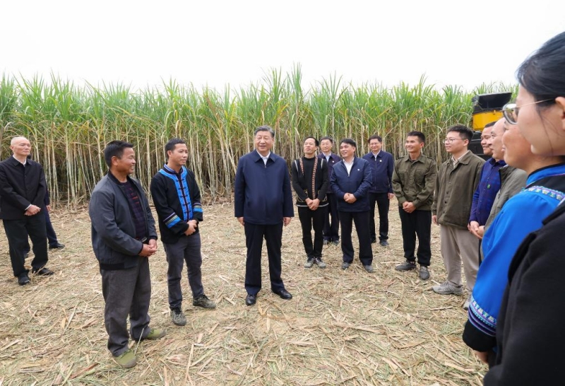 Xi Jinping inspecte la ville de Laibin au Guangxi