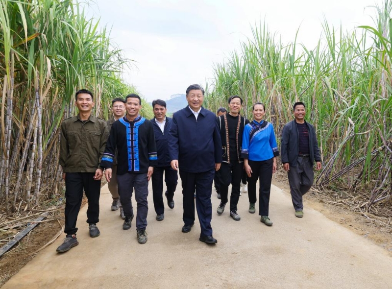 Xi Jinping inspecte la ville de Laibin au Guangxi