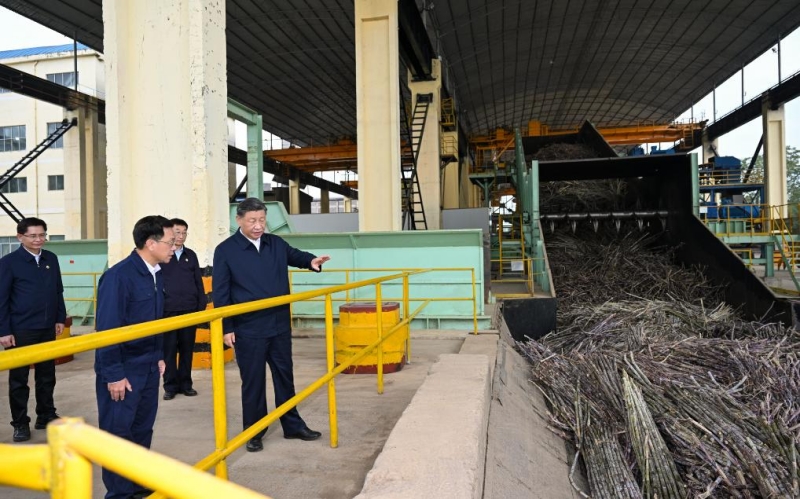 Xi Jinping inspecte la ville de Laibin au Guangxi