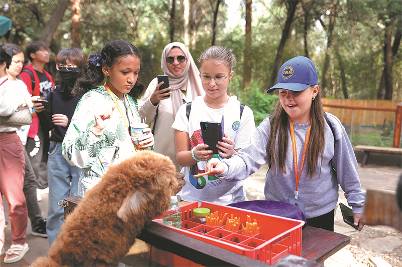 Plusieurs participants à la 16e édition du concours « Pont vers le chinois » pour les élèves étrangers du secondaire apprécient leur visite du Parc d'animaux sauvages du Yunnan à Kunming. (Photo / China Daily)