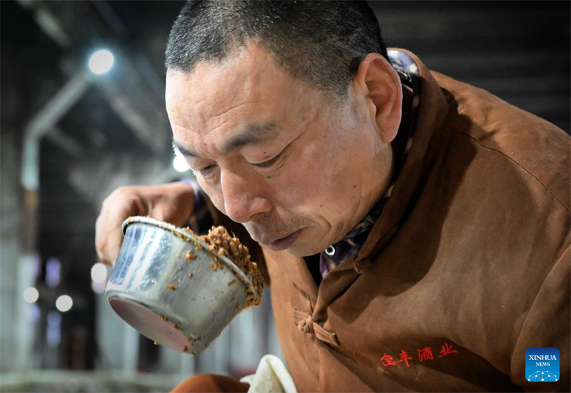 Un ouvrier vérifie l'état de fermentation de l'alcool dans un atelier de Baofeng Baijiu Co. Ltd dans le comté de Baofeng de la province du Henan (centre de la Chine), le 21 décembre 2023. (Li An / Xinhua)