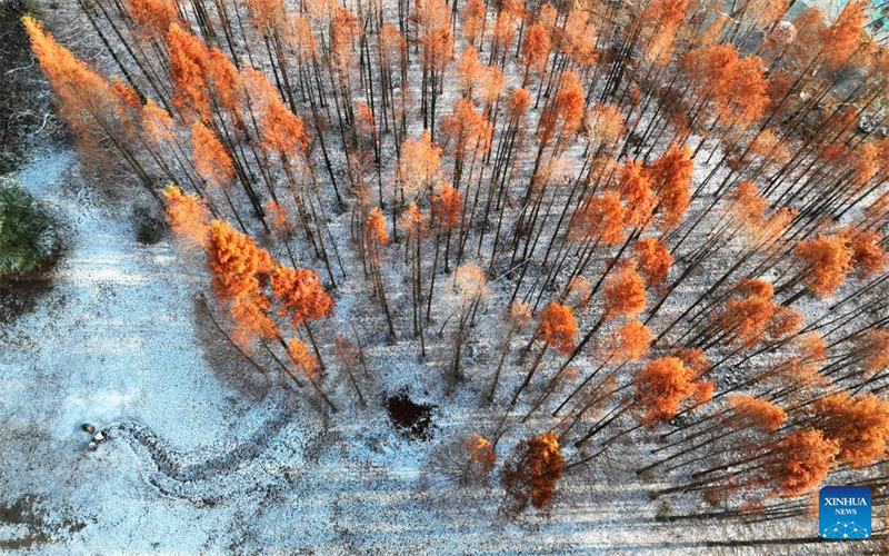 Rendez-vous avec la neige : l'hiver rafraîchit les paysages en Chine