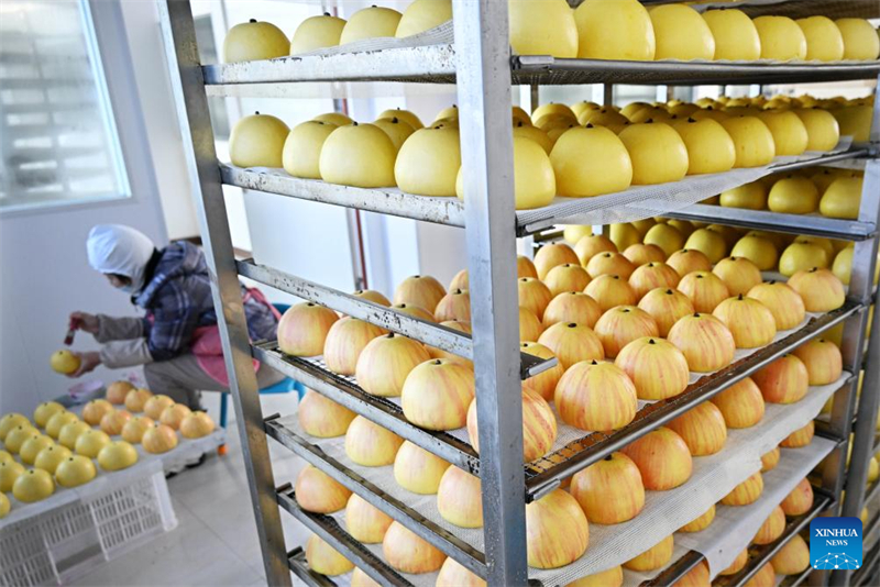 Shandong : la préparation de produits à base de farine pour la fête du Printemps bat son plein