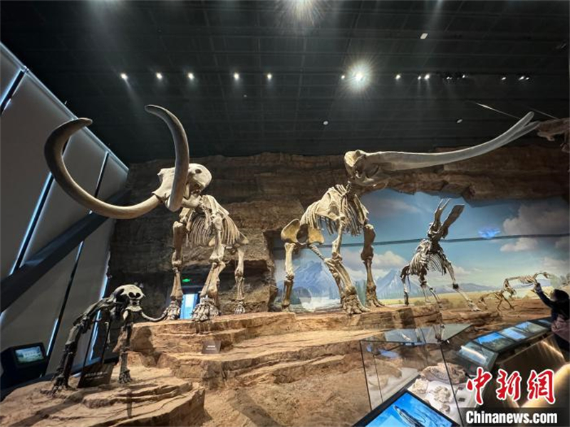 Ouverture du plus grand musée des sciences naturelles de Chine