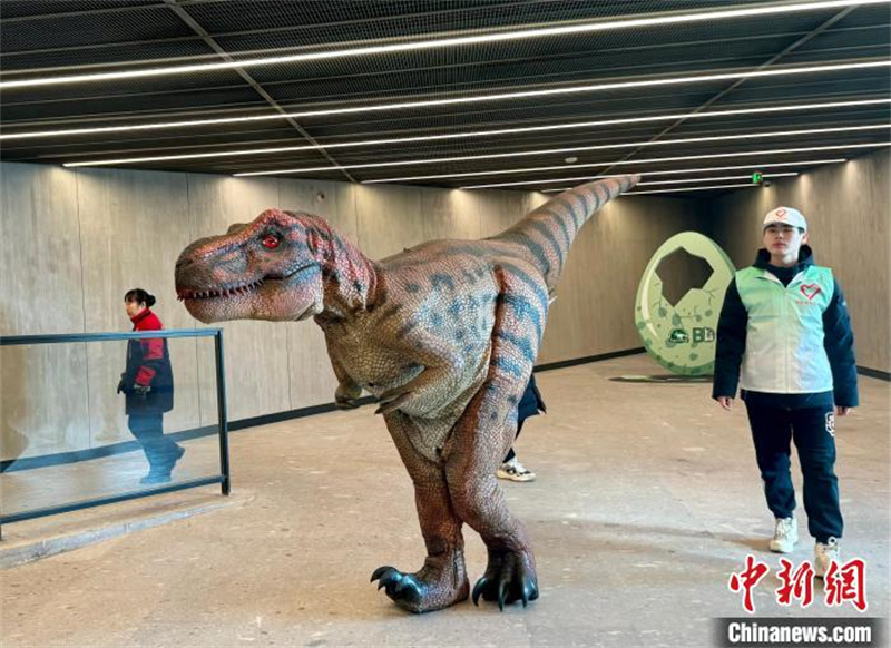 Ouverture du plus grand musée des sciences naturelles de Chine