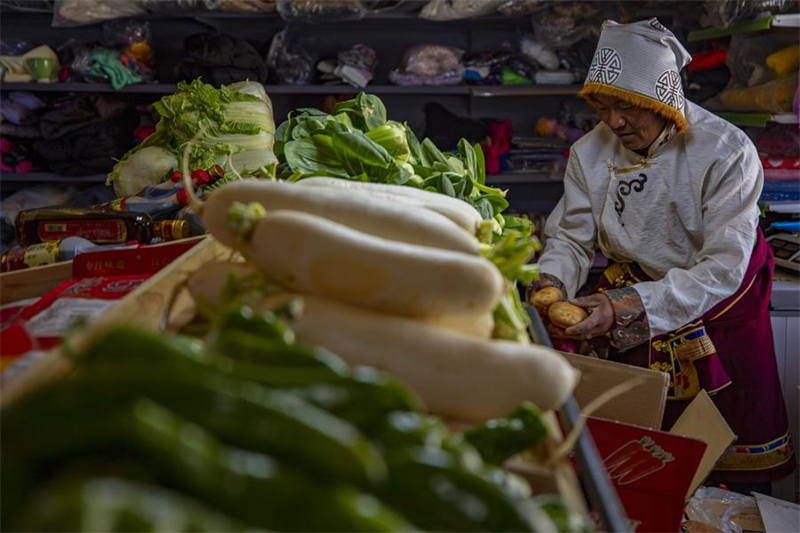 Mise en place d'un système de livraison de fruits et légumes frais dans les villages reculés du Xizang