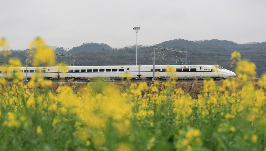 Un train à grande vitesse circule sur une section du chemin de fer à grande vitesse Guiyang-Guangzhou, dans le district de Congjiang, dans la province chinoise du Guizhou (sud-ouest), le 9 janvier 2024. (Photo : Luo Jinglai)