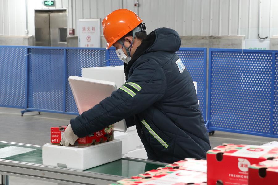 Un employé de la chaîne du froid emballe une boîte de cerises chiliennes dans la zone portuaire de Nansha du port de Guangzhou, à Guangzhou, dans la province chinoise du Guangdong (sud), le 20 décembre 2023. (Photo : Hong Zehua)