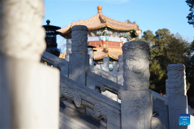 Des éléments festifs sur le thème du dragon vus sur l'Axe central de Beijing