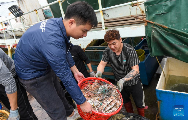 Guangdong : une route de livraison de fruits de mer par drones ouverte à Shenzhen