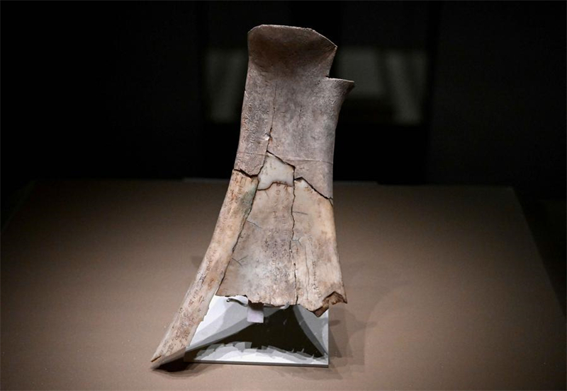 Henan : le nouveau musée d'Anyang présente des artefacts incroyables datant de 3 000 ans