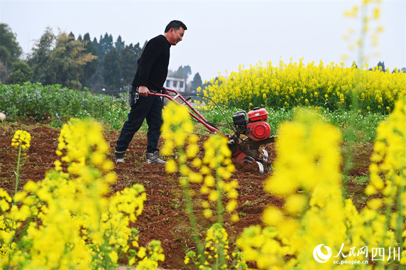 Les agriculteurs du Sichuan s'affairent en ce début de printemps