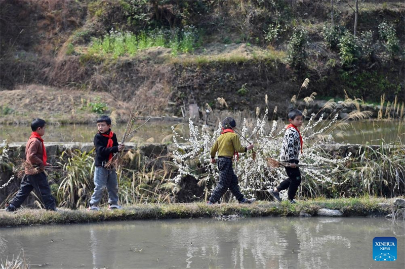 Guangxi : le cadre de vie du village de Wuying continue de s'améliorer grâce au programme de plantation d'arbres