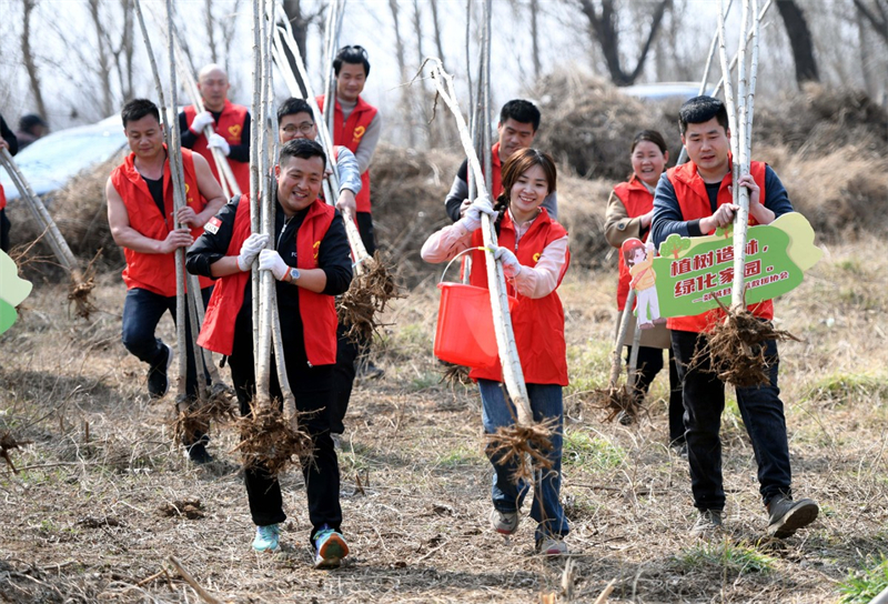 Des volontaires plantent des arbres à Linyi, dans la province du Shandong (est de la Chine), le 11 mars 2024. (Photo / Xinhua)