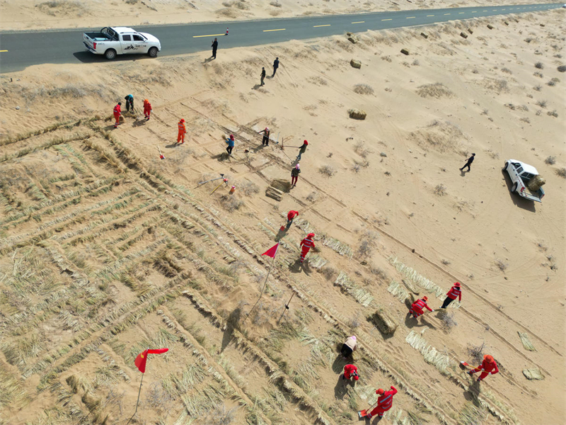 Le 26 mars 2024, les employés du tronçon de l'autoroute de Minqin du centre de développement des autoroutes de Wuwei, dans la province du Gansu (nord-ouest de la Chine), ont encadré du sable et cultivé de l'herbe à côté du tronçon du lac Qingtu de la route G569. (Jiang Aiping / People.pic.com.cn)