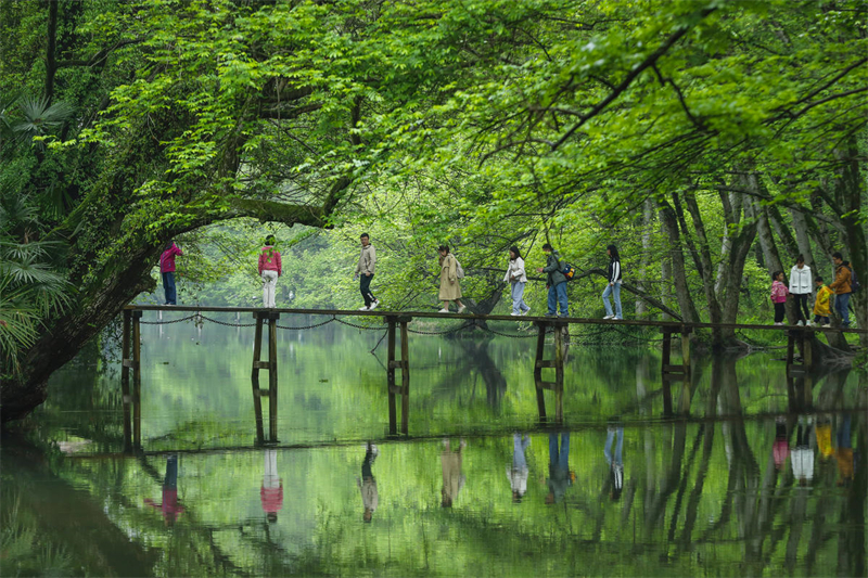 Des touristes profitent du paysage de la zone humide de Xixinan, dans le district de Huizhou de la ville de Huangshan, dans la province de l'Anhui (est de la Chine), le 7 avril 2024. (Shi Yalei / Pic.People.com.cn)