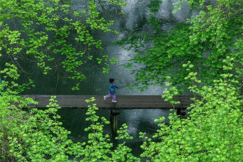 Anhui : le tourisme écologique au printemps à Huangshan