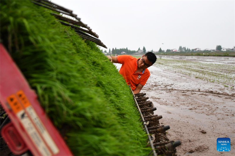 Hunan : une plateforme agricole intelligente améliore l'efficacité de la production