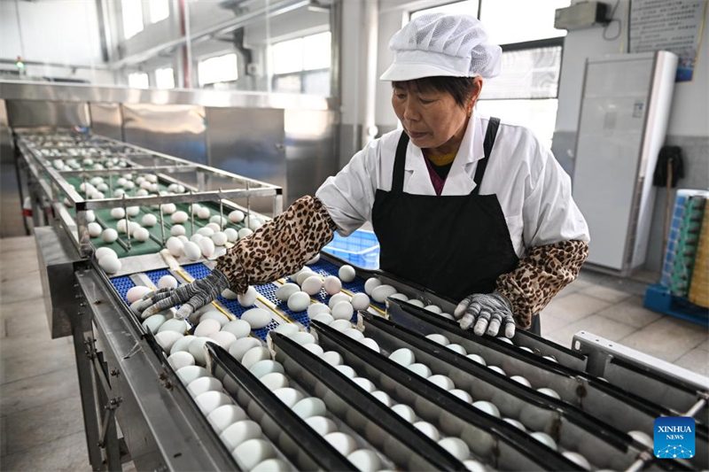 Jiangsu : l'industrie des œufs de cane stimule l'économie locale à Gaoyou