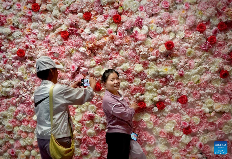 Henan : Luoyang développe la culture liée aux fleurs de pivoine