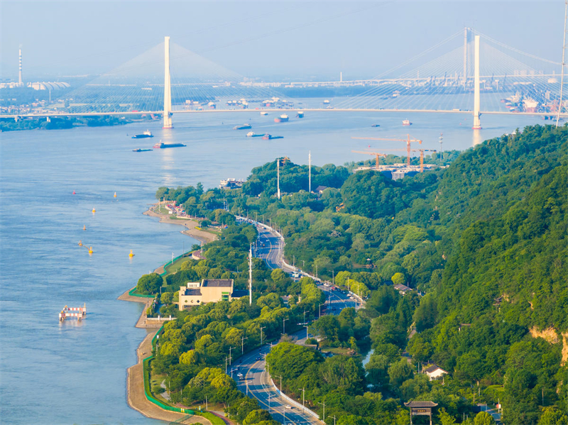 Jiangsu : le littoral du fleuve Yangtsé à Nanjing, à la fois écologique et pittoresque