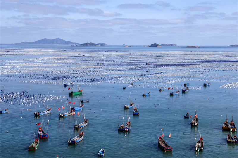 Zhejiang : l'élevage et la pêche battent leur plein à la ferme marine de Zhoushan