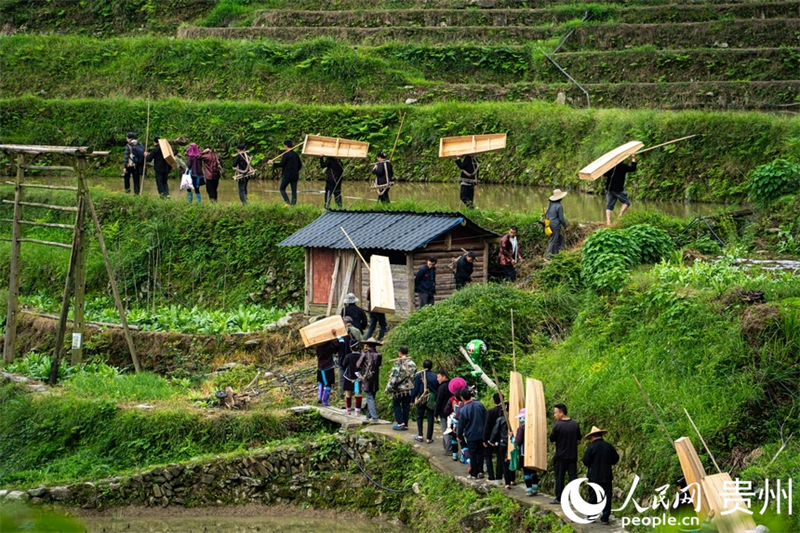 Guizhou : les cultures de printemps battent leur plein sur les champs en terrasses de Jiabang