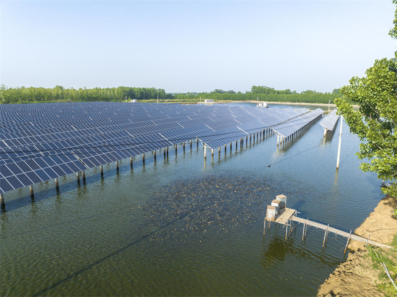 Jiangsu : à Donghai, la pêche et la lumière se complètent pour un développement écologique et à bas carbone