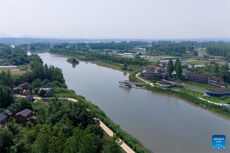 Anhui : un éleveur de marsouins aptères du Yangtsé à Tongling