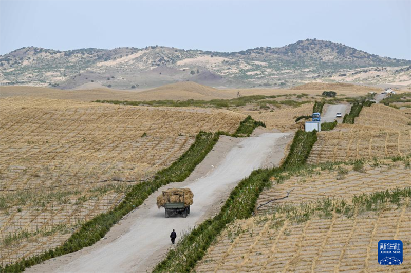 Mongolie intérieure : l'utilisation globale de multiples moyens pour contrôler les terres sableuses de Horqin