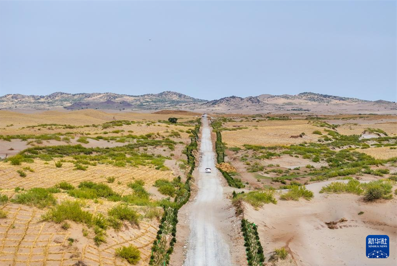 Mongolie intérieure : l'utilisation globale de multiples moyens pour contrôler les terres sableuses de Horqin