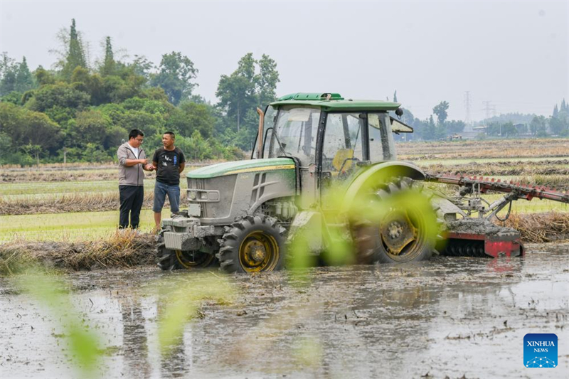 Sichuan : un jeune agriculteur utilise la technologie moderne pour renforcer l'agriculture traditionnelle