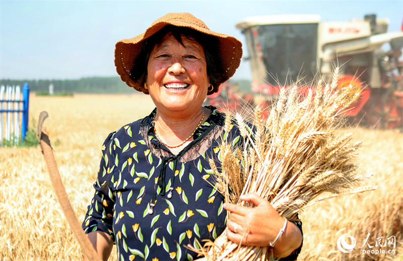 Henan : la récolte d'été et les semis d'automne ont commencé à Weishi