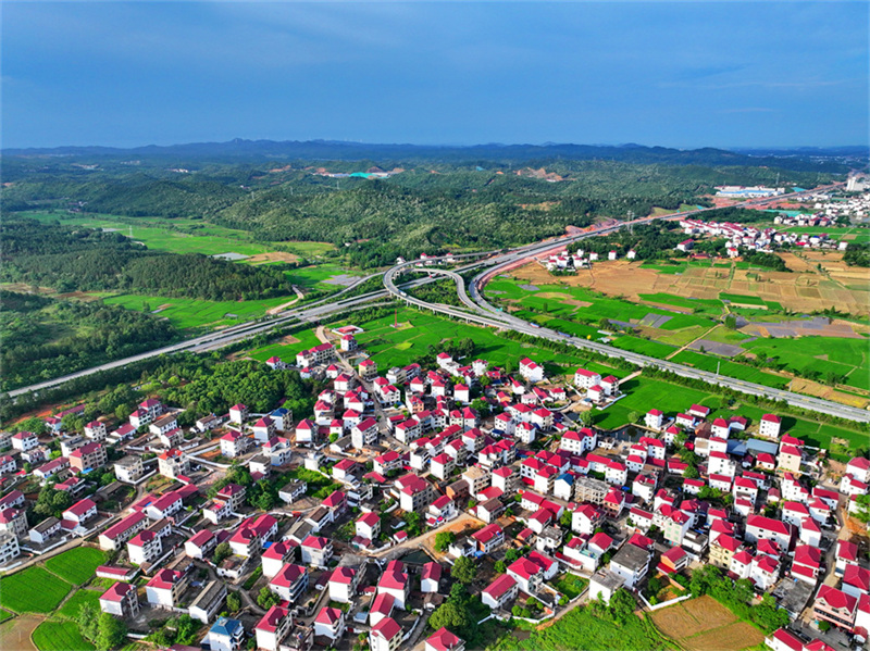 Jiangxi : les nouvelles zones rurales belles et harmonieuses du district de Dongxiang, à Fuzhou