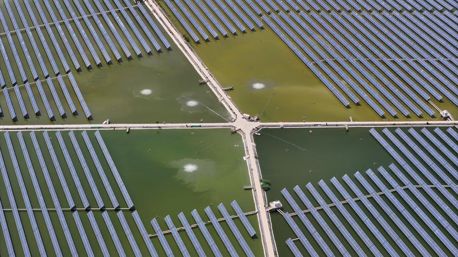 Photo aérienne d'un projet intégrant l'aquaculture et l'énergie solaire dans le bourg de Changxin du district de Helan, dans la ville de Yinchuan, dans la région autonome Hui du Ningxia, le 25 mai 2024. (Photo : Wang Peng)