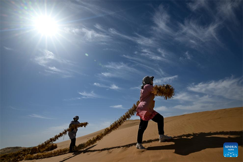 Ningxia : un outil et une technologie innovants contribuent au contrôle du sable à Zhongwei