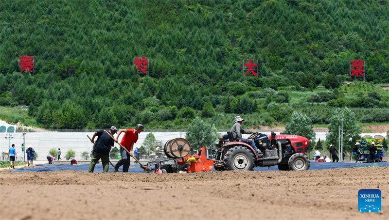 Shaanxi : Baoji soutient le développement vert de l'agriculture