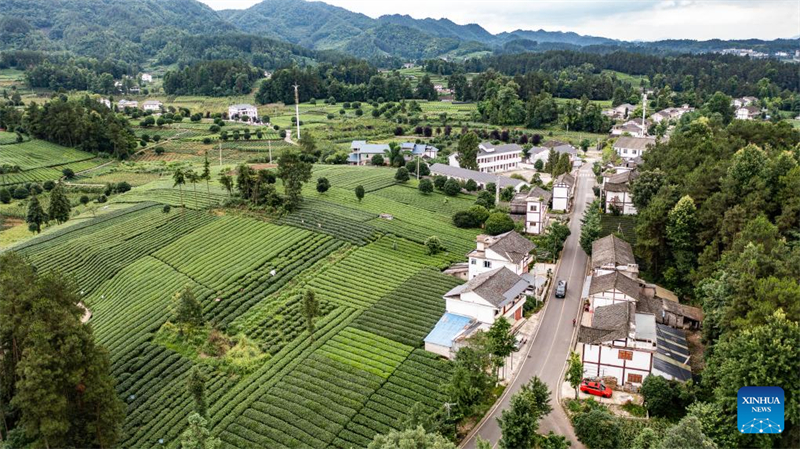 Guizhou : le réseau routier rural provincial s'est considérablement amélioré au cours de la dernière décennie