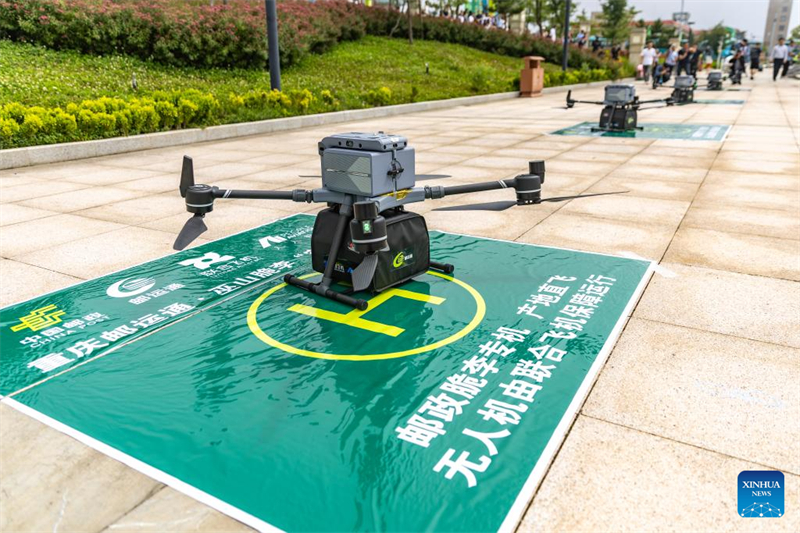 Chongqing : des drones cargo et des avions spéciaux utilisés pour le transport de prunes dans l'ensemble de la Chine