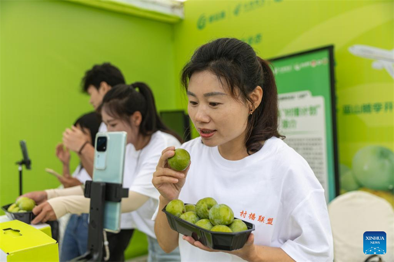 Chongqing : des drones cargo et des avions spéciaux utilisés pour le transport de prunes dans l'ensemble de la Chine