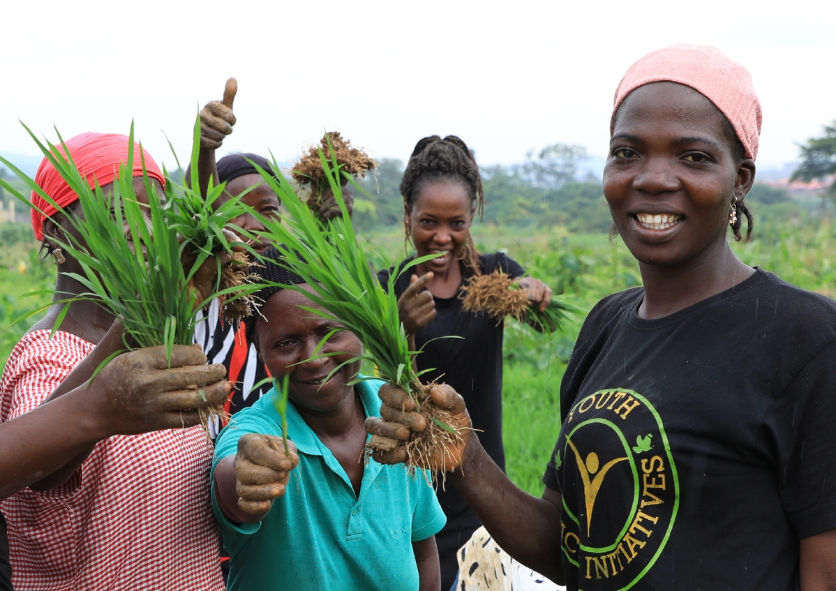 Des membres du personnel travaillant au Centre nigérian de démonstration de technologies agricoles près d'Abuja, la capitale de ce pays d'Afrique de l'Ouest, montrent des plants de riz devant la caméra, le 19 septembre 2023. (Photo / Xinhua)