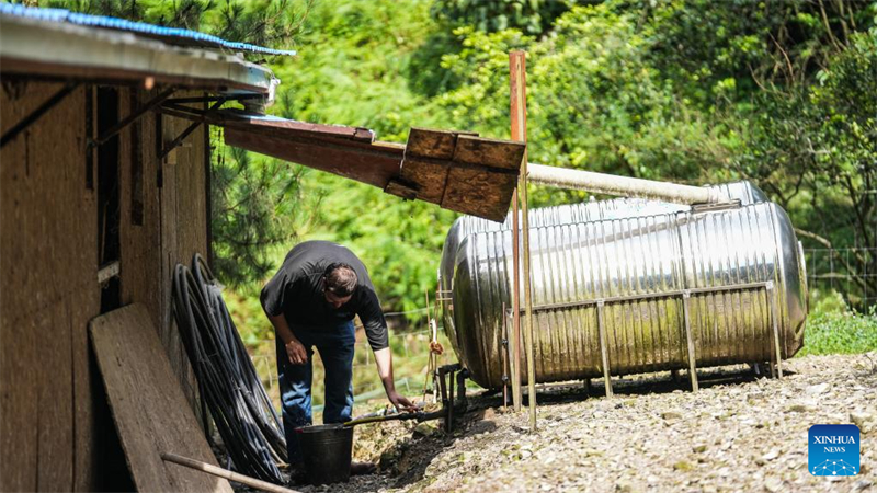 Un jeune Belge et sa famille mènent une vie idyllique dans une « oasis écologique » à la campagne au Guizhou