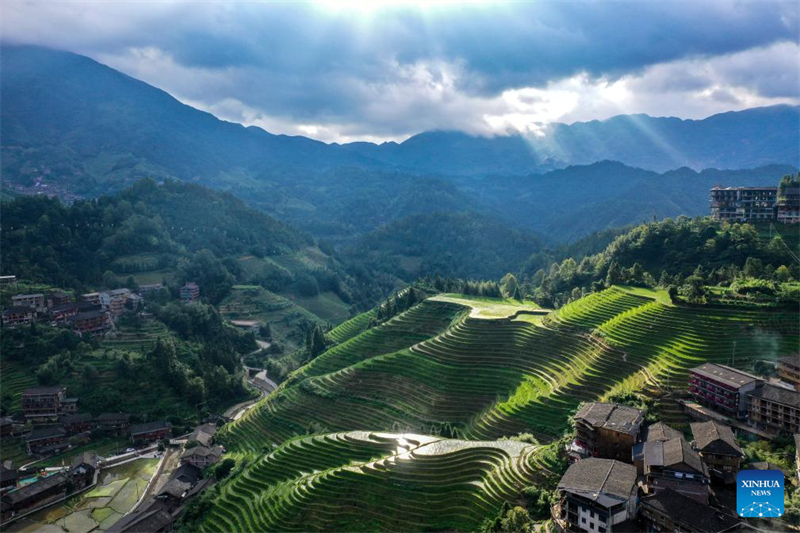 Guangxi : le service d'hébergement chez l'habitant se développe dans le village de Dazhai