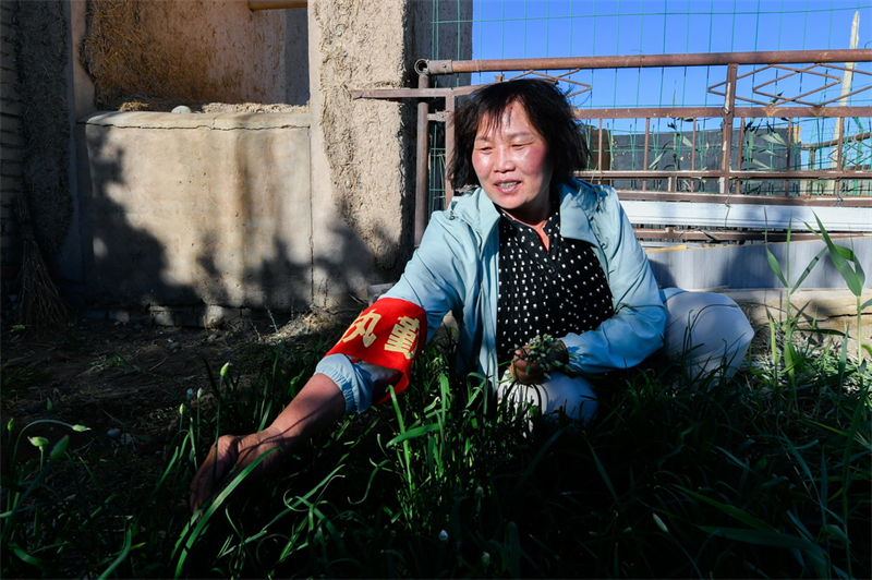 Gansu : enraciné dans le désert depuis 18 ans, le « couple du Gobi » veille sur la Grande Muraille des Han