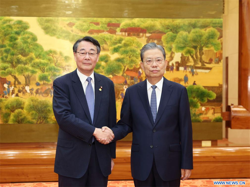 Le plus haut législateur chinois rencontre le vice-président de la Chambre basse du Japon