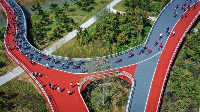 Des amateurs de vélo parcourent la Voie verte de la Côte du Soleil à Rizhao, dans la province du Shandong (est de la Chine). (Photo / Li Bing)