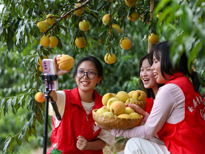 Guizhou : des jeunes volontaires font de la diffusion en direct pour aider les agriculteurs de Yuping à vendre leurs produits