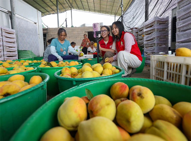 Guizhou : des jeunes volontaires font de la diffusion en direct pour aider les agriculteurs de Yuping à vendre leurs produits