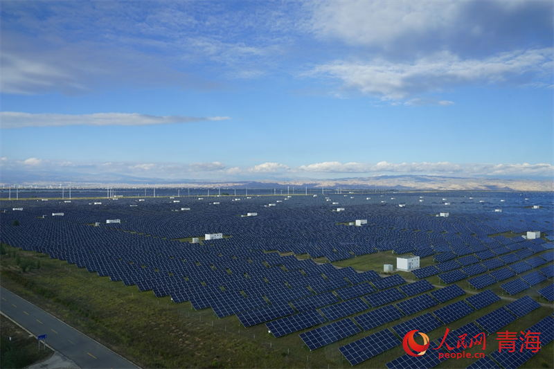 Qinghai : des « moutons photovoltaïques » officiellement bons pour le service !