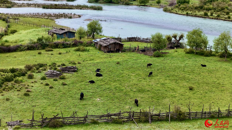 Xizang : à la découverte du Parc national des zones humides de Yani